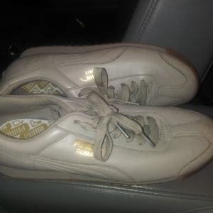 Puma Roma